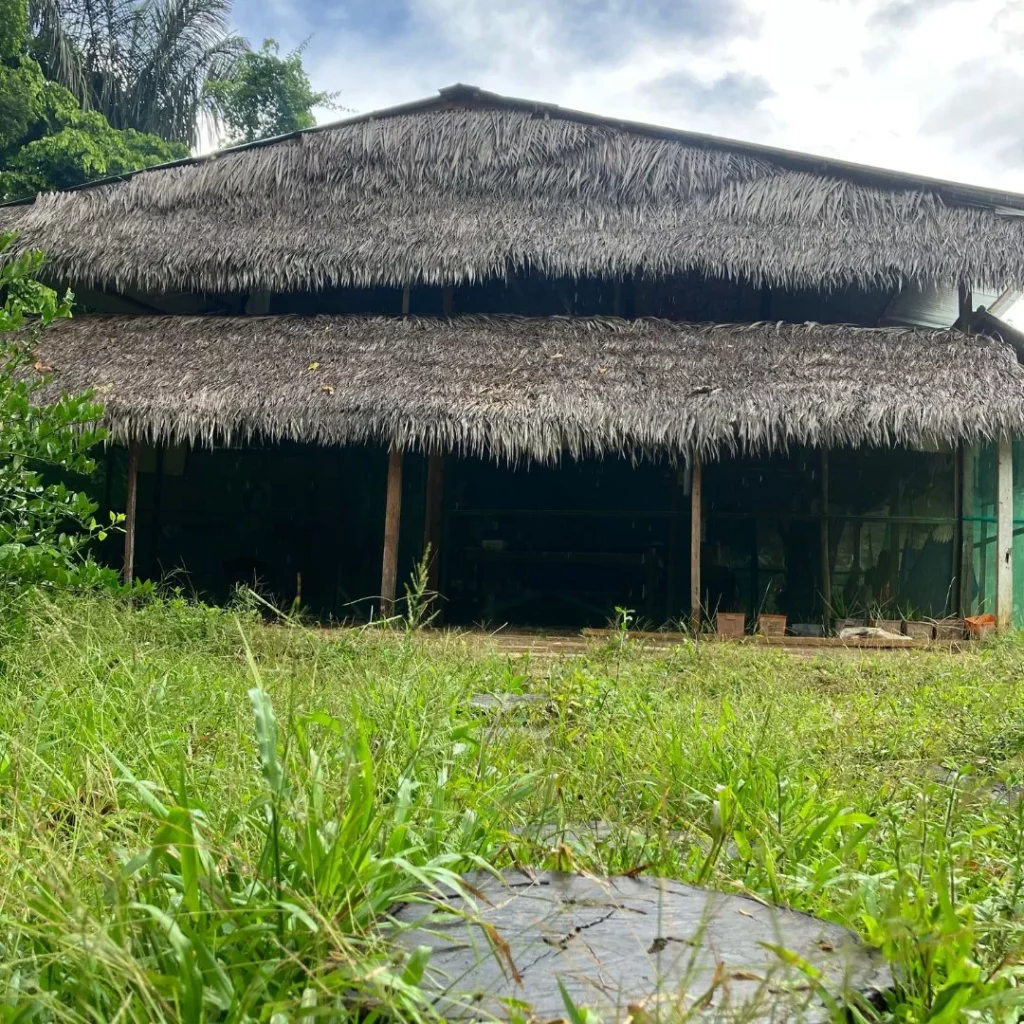 Meditation Before Ayahuasca Ceremony