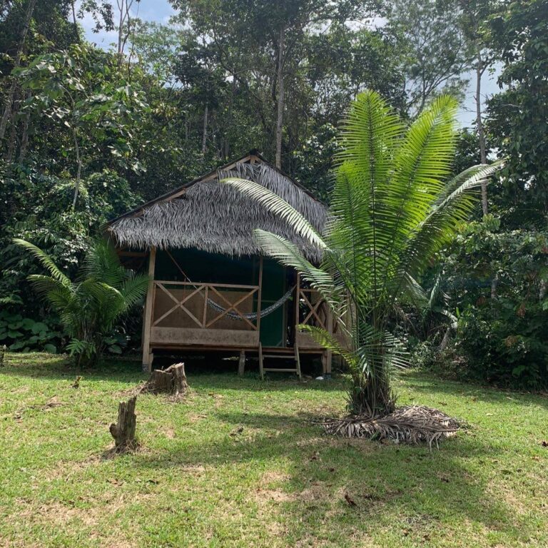 ayahuasca retreat peru