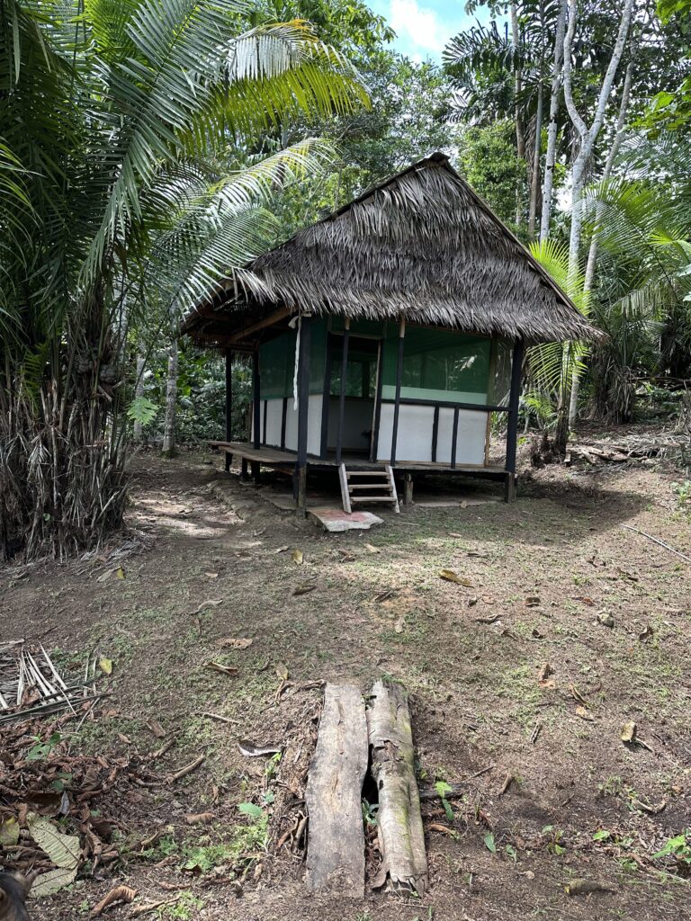ayahuasca retreat south america