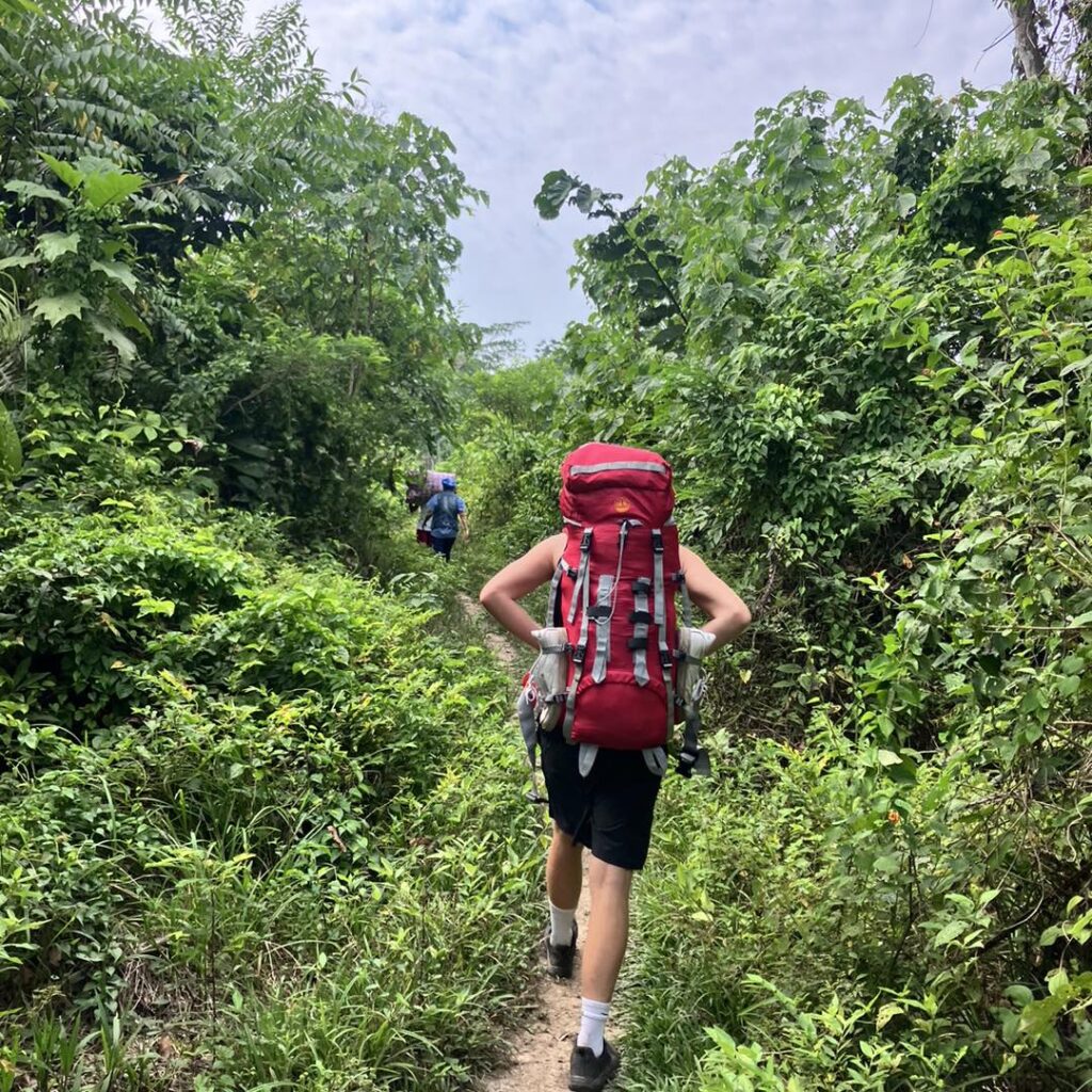 Person walking quietly through the Amazon forest, reflecting silence, nature, and the inner rhythm that can support the ayahuasca process.