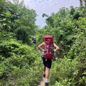 How Silence and Nature Support the Ayahuasca Process
