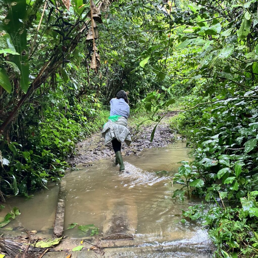 Muddy jungle path during rainy season near Iquitos Peru