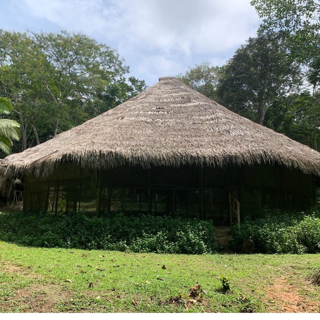 Traditional Amazonian setting connected to the history of ayahuasca and Indigenous ceremonial knowledge in the rainforest.
