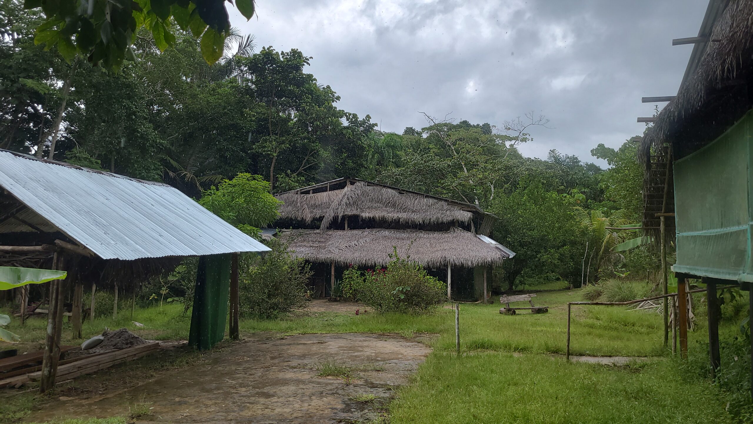 Ayahuasca retreat center in the Peruvian Amazon near Iquitos