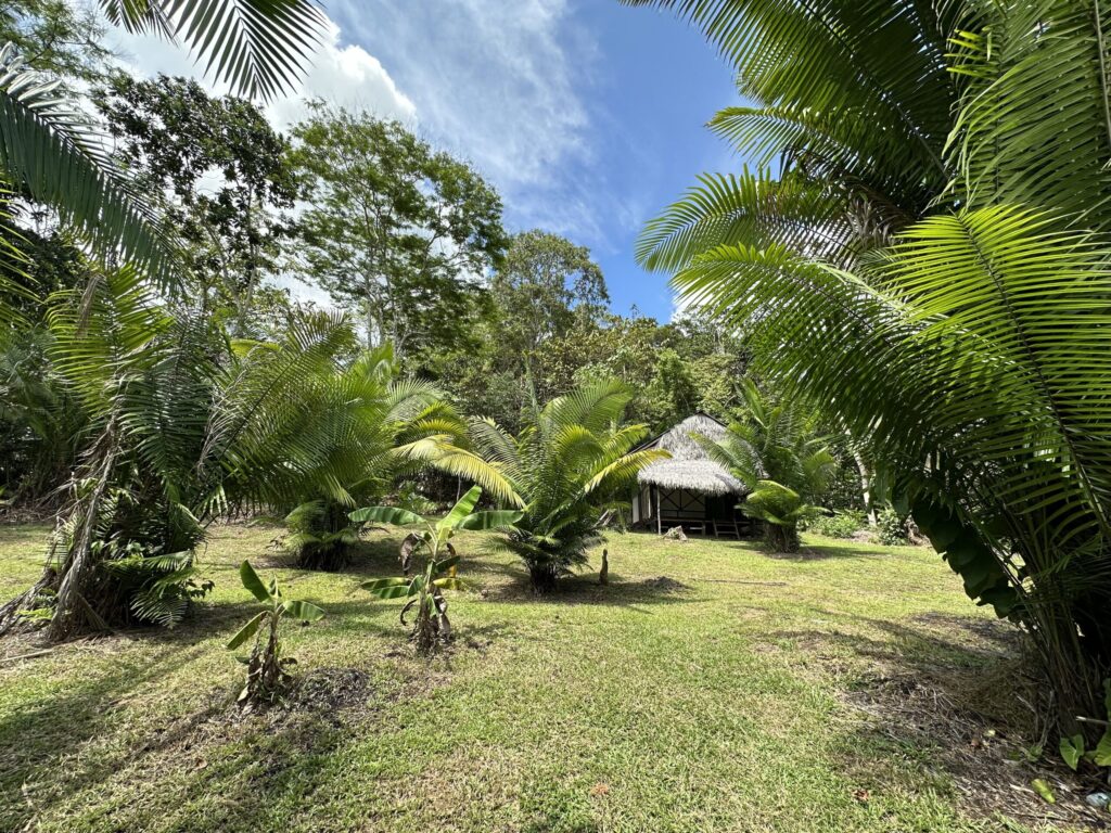 First-time ayahuasca retreat in Iquitos surrounded by the Amazon forest