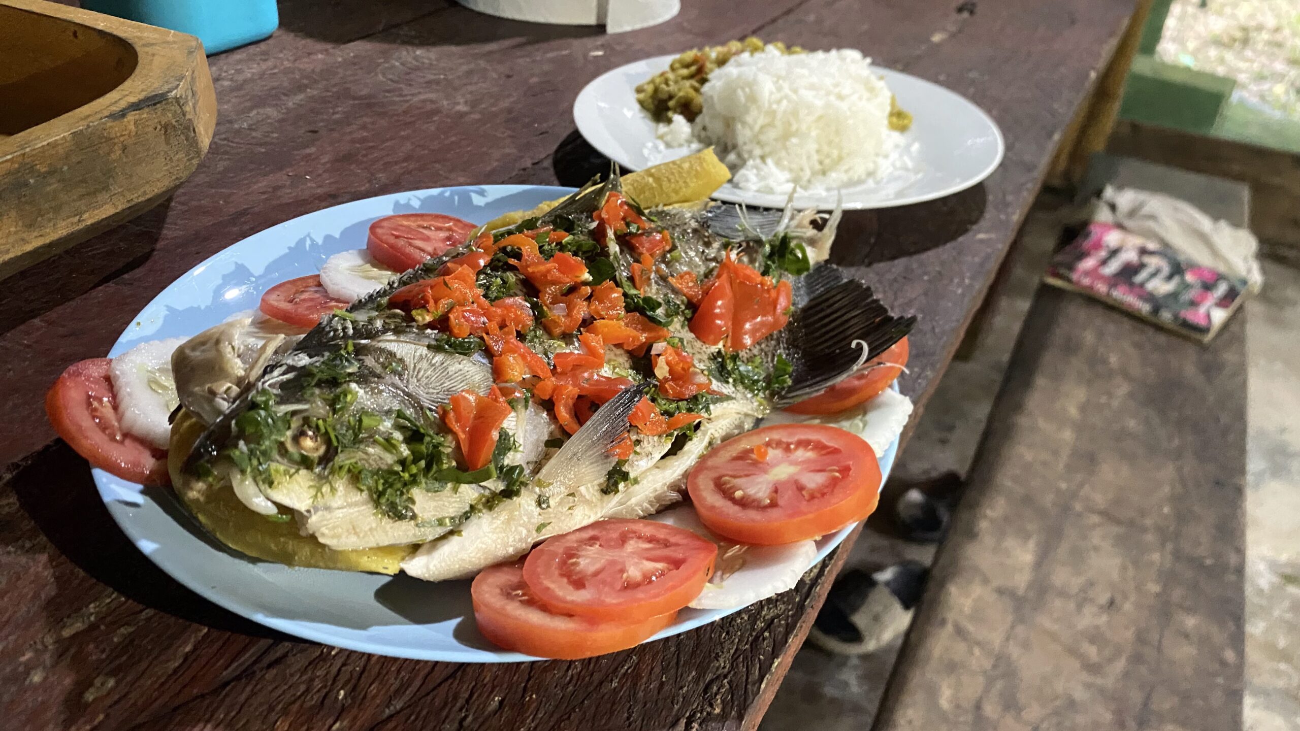Amazon jungle retreat meals in Iquitos Peru