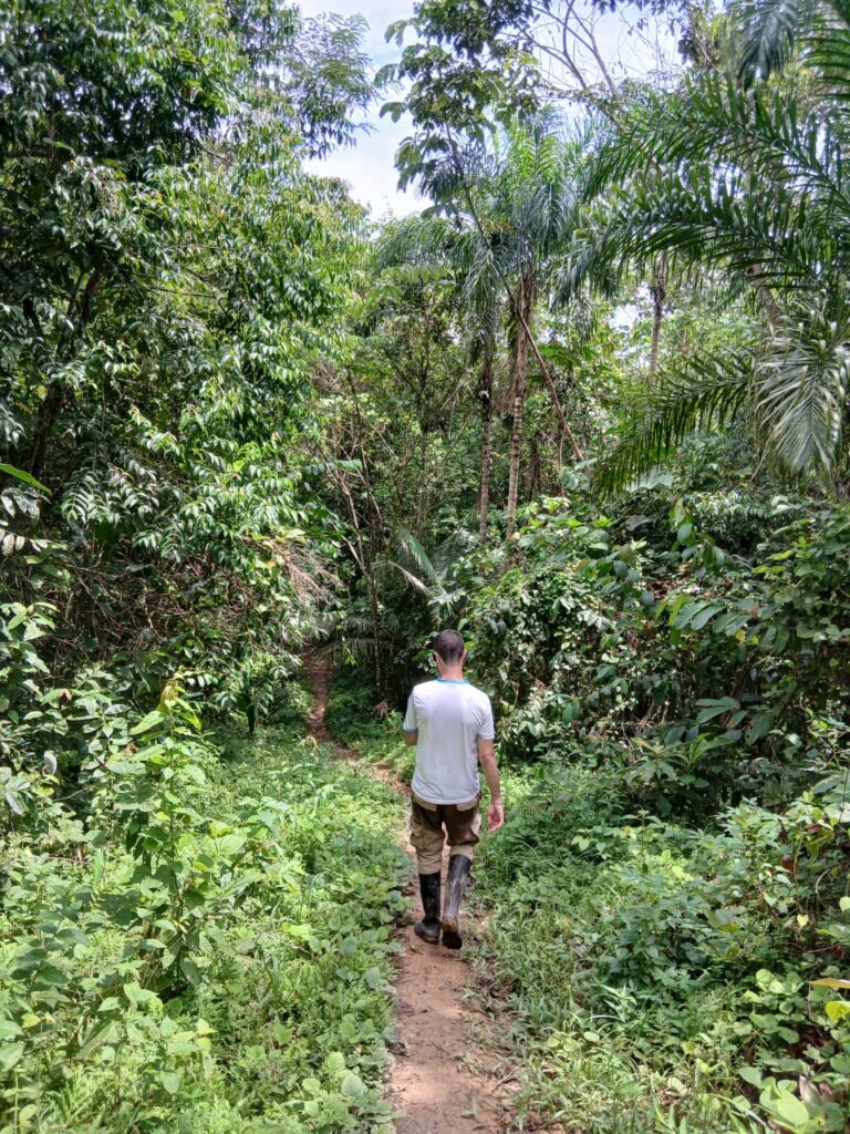 Choosing how many days for an ayahuasca retreat in Iquitos Peru