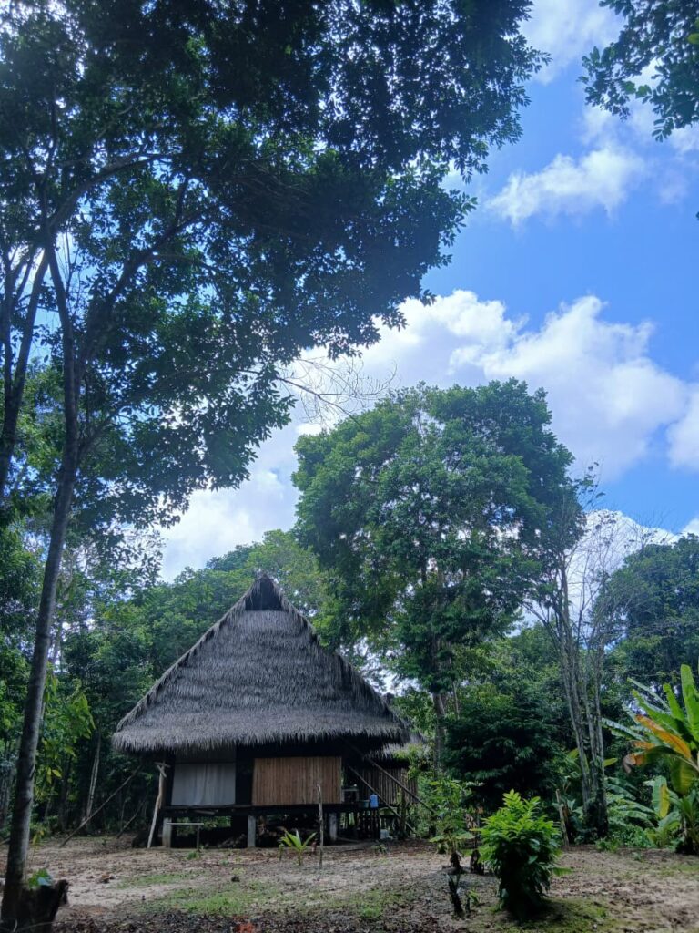 Small ayahuasca retreat in the Amazon jungle near Iquitos Peru