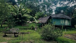What to Expect From an Amazon Jungle Retreat in Iquitos, Peru