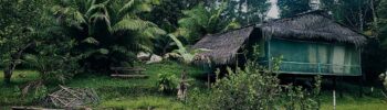 Amazon jungle retreat lodge in Iquitos Peru surrounded by rainforest