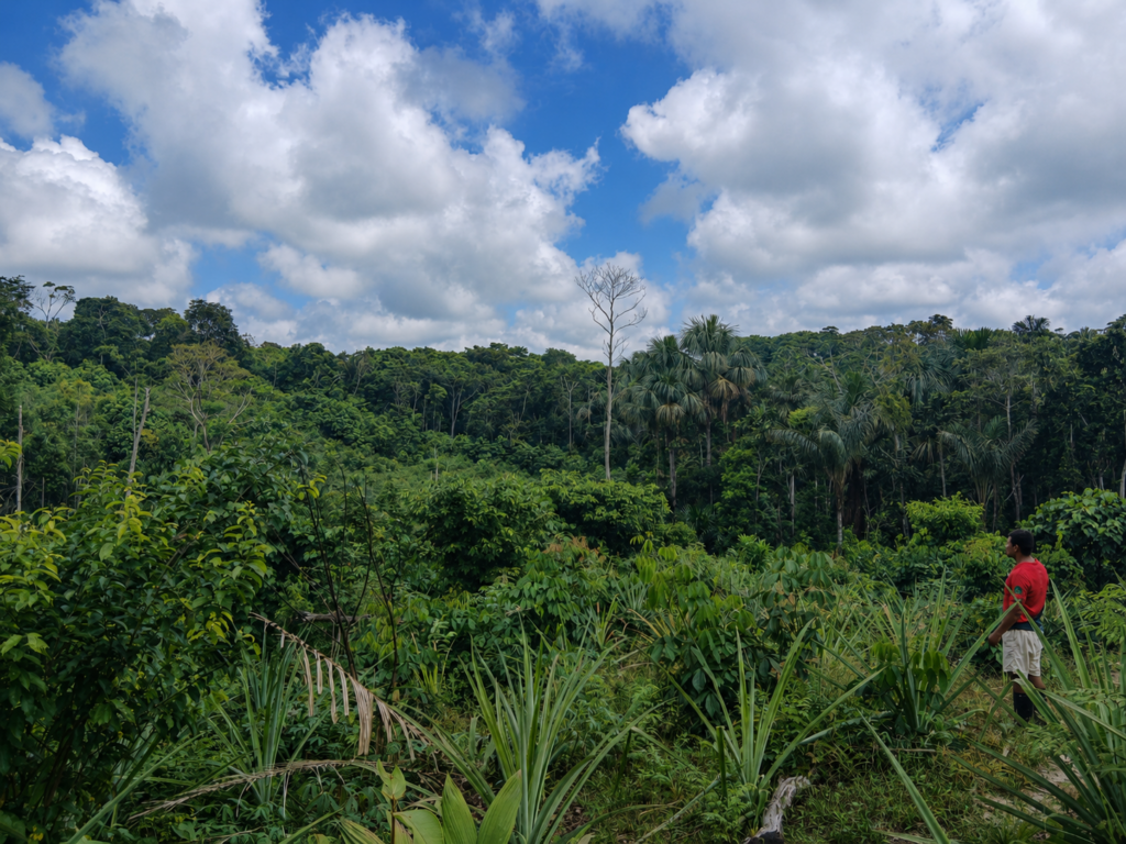 Solo traveler walking through the Amazon jungle near Iquitos Peru during an ayahuasca retreat