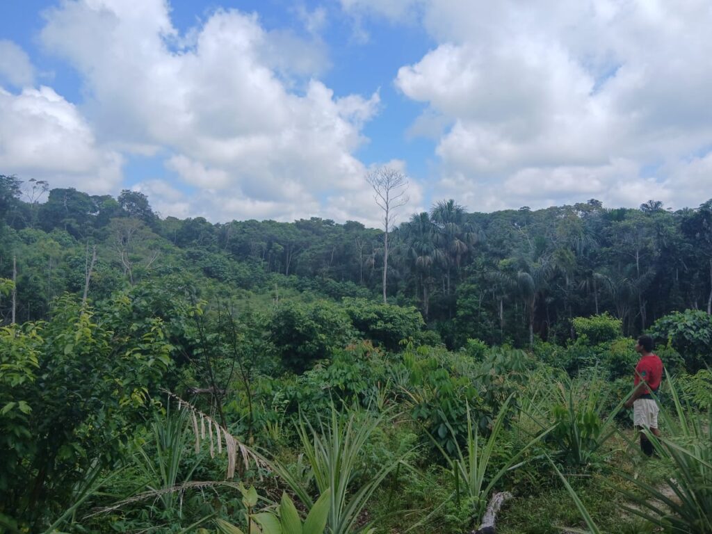 Solo traveler walking through the Amazon jungle near Iquitos Peru during an ayahuasca retreat