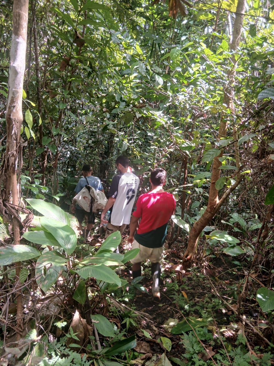 Guests walking through the rainforest near Iquitos Peru