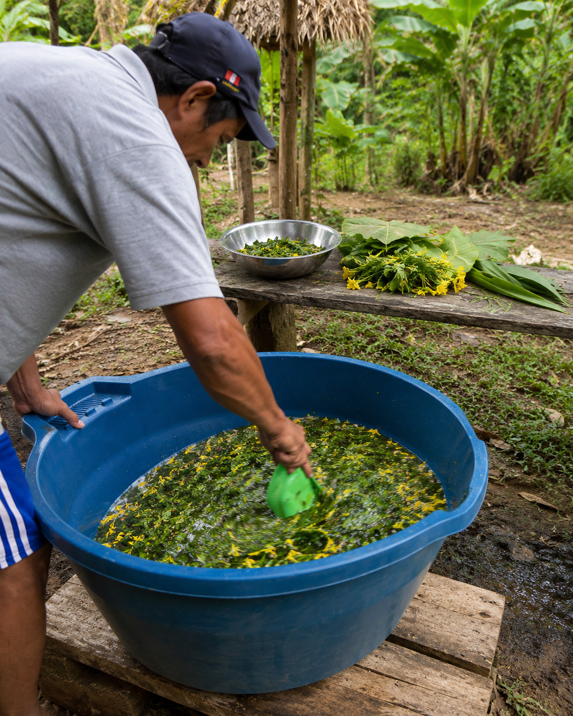 Traditional flowering bath with Amazonian leaves and flowers in Iquitos Peru