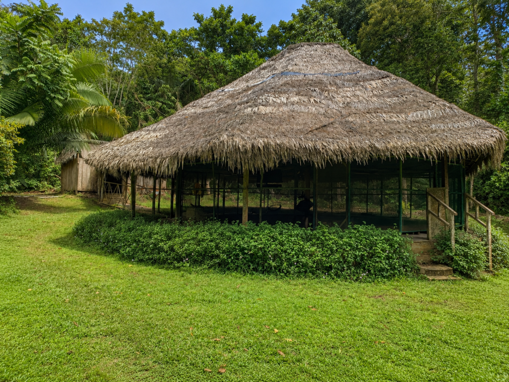 ayahuasca retreat safety guidelines in Peru