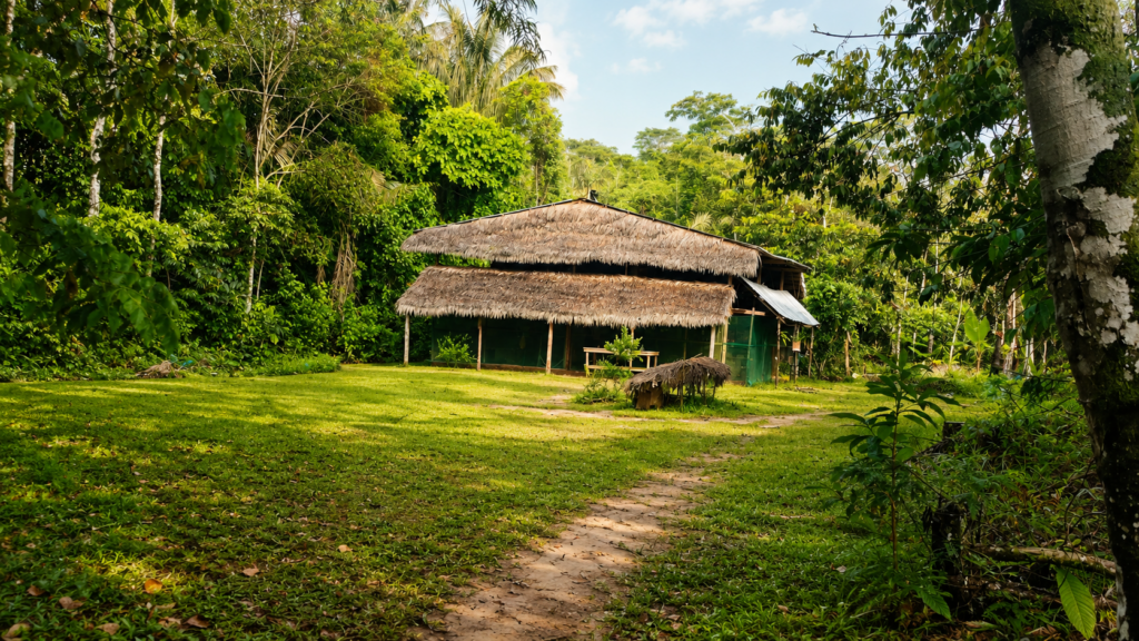 Alt Text: 4 days 3 nights ayahuasca retreat in Iquitos Peru