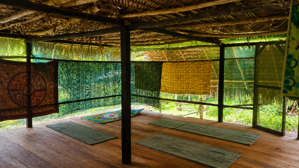 10 days 9 nights ayahuasca retreat in Peru near Iquitos
